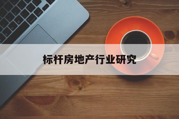 菏泽市标杆房地产行业研究(房地产领域的标杆人物)